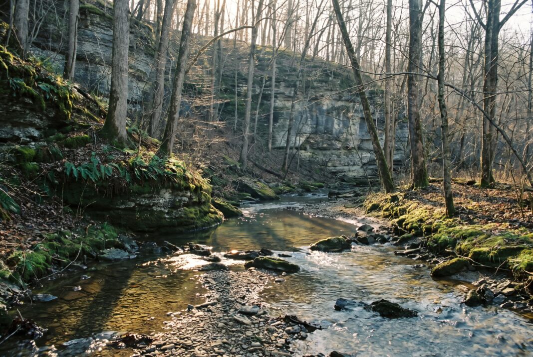 trout fishing northeast iowas driftless streams